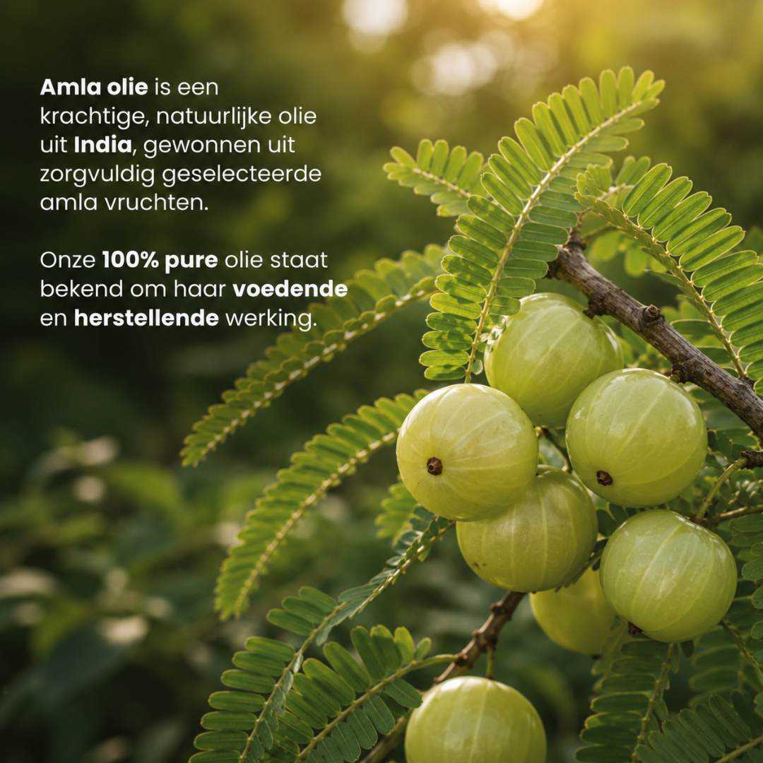 Amla olie 100% Puur & Koudgeperst