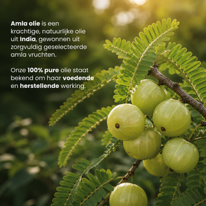 Amla olie 100% Puur & Koudgeperst