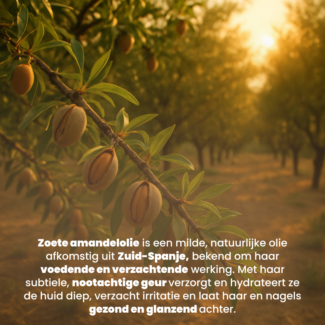 Zoete amandel olie (100ML) 100% Puur & Koudgeperst