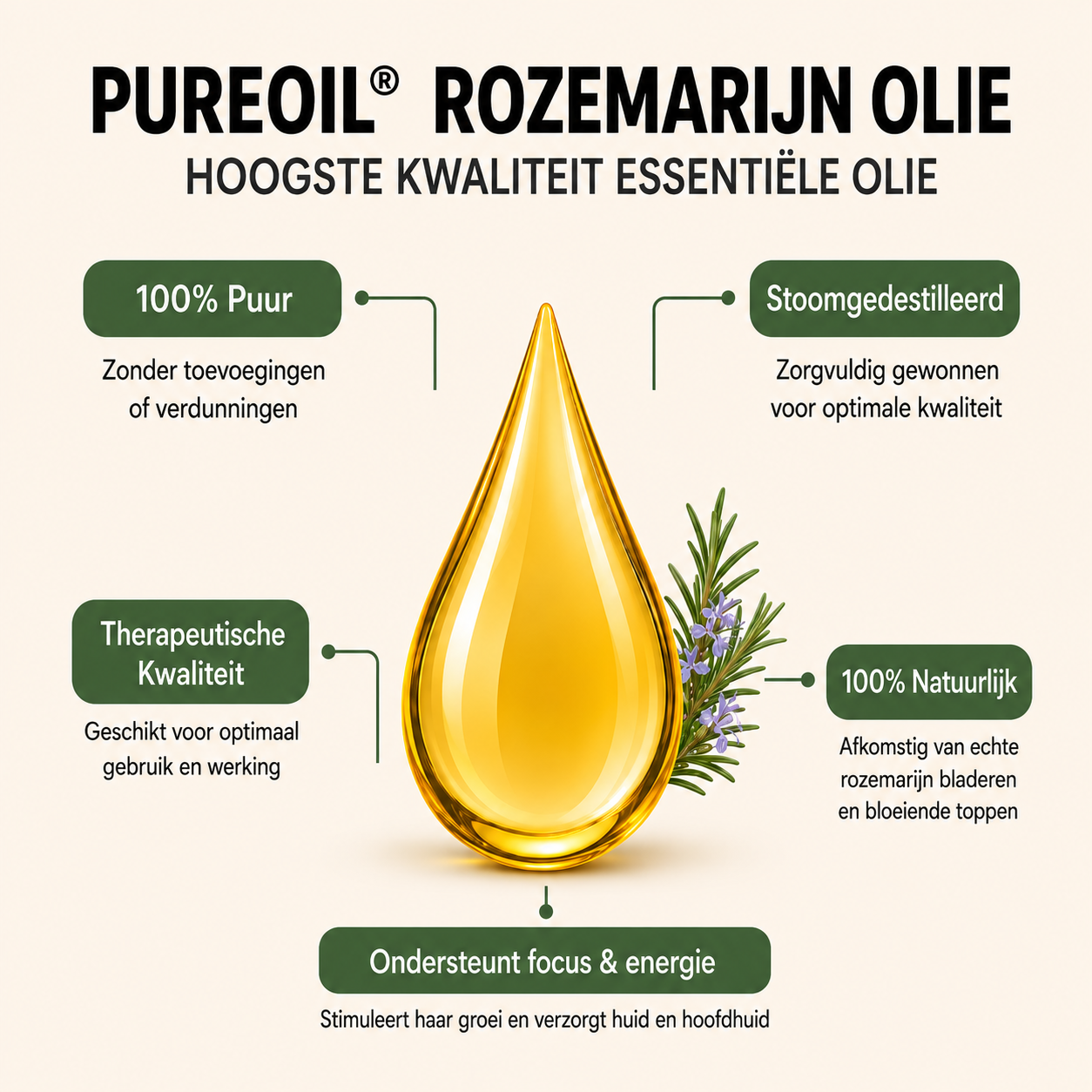 Rozemarijn Etherische Olie