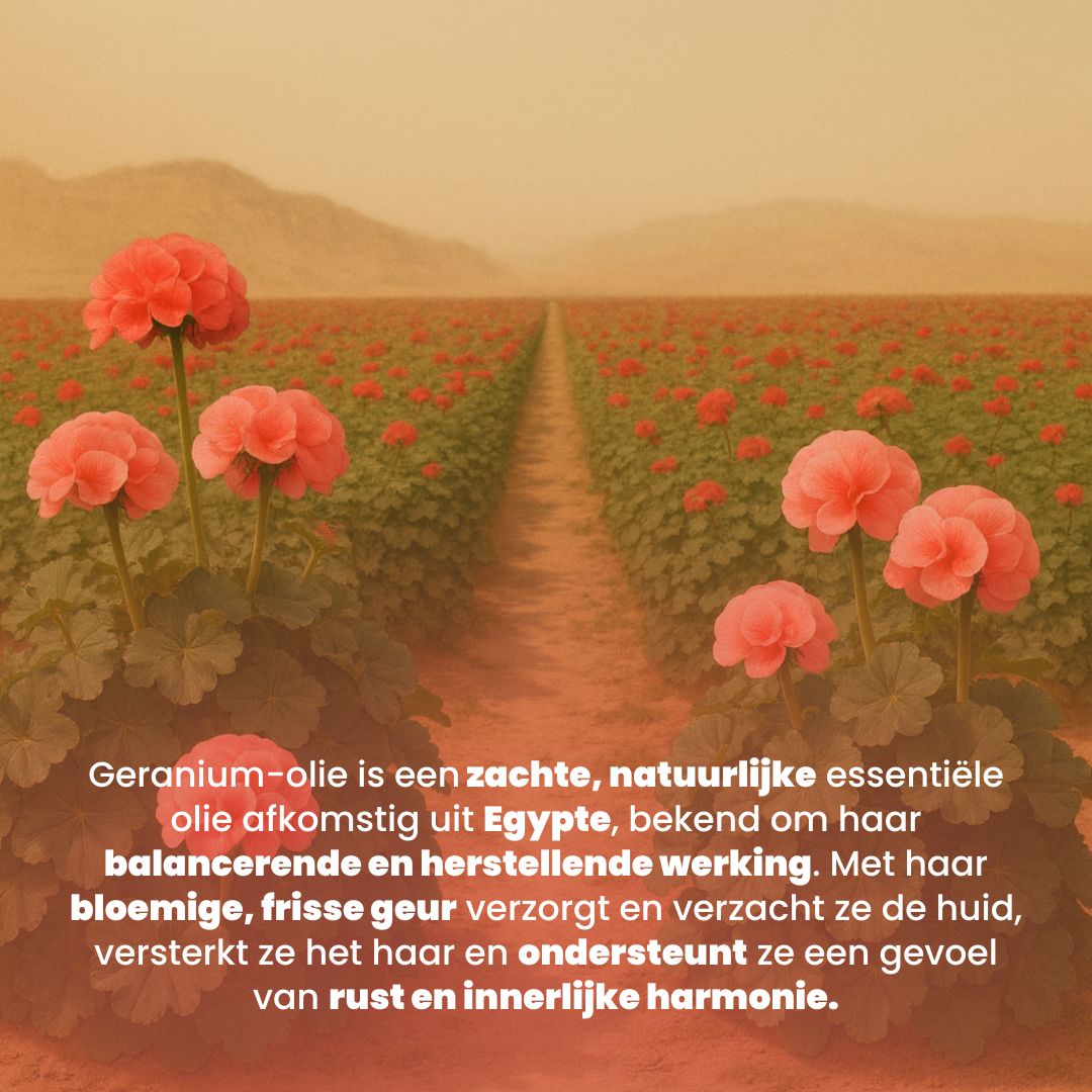 Geranium (30ML) 100% Puur & Stoomgedestilleerd