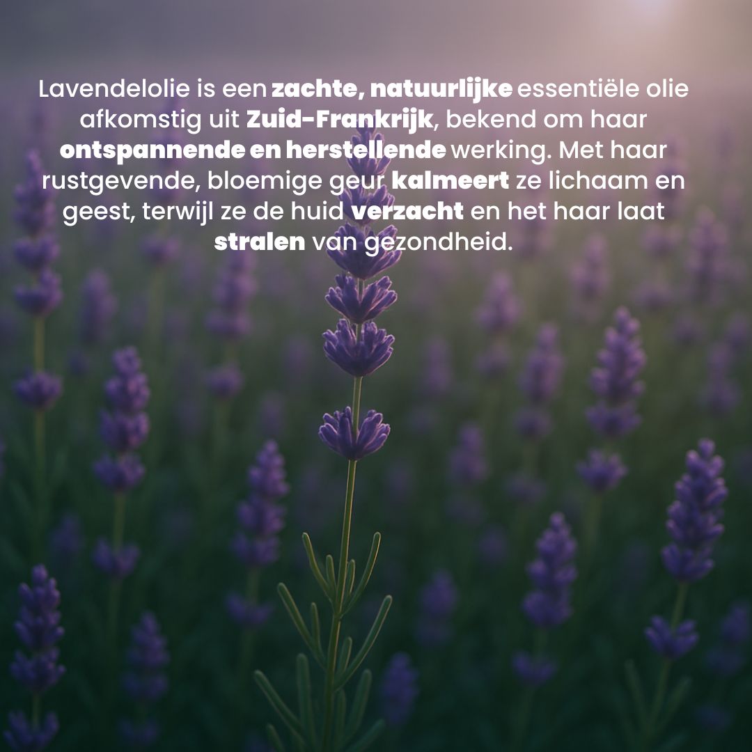 Lavendel Essentieel Olie (30ML) 100% Puur & Stoomgedestilleerd